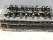 FIAT 502295001 DUCATO Platform/Chassis (250_, 290_) 2012 Cylinder Head