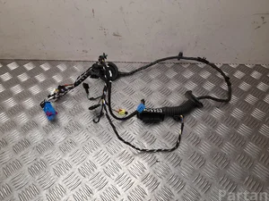 Volkswagen 5G2 971 162 CM / 5G2971162CM GOLF VII (5G1, BQ1, BE1, BE2) 2020 Harness for interior Door