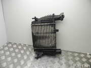 RENAULT 8200471885 CLIO III (BR0/1, CR0/1) 2007 Intercooler