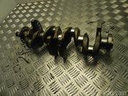 TOYOTA 1NZ, 1340121020 YARIS (_P13_) 2014 Crankshaft