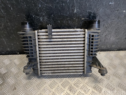 NISSAN 14461EM00A JUKE (F15) 2011 Intercooler