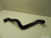 FORD 8V61 8260 BC / 8V618260BC C-MAX II (DXA/CB7, DXA/CEU) 2011 Radiator Hose