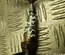 Audi 80A 907 805 B / 80A907805B A6 (C8/4K) (2018 - ) 2019 Lambda Sensor - Thumbnail 2