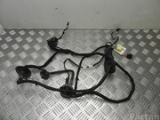 AUDI 8R0 971 030 J / 8R0971030J Q5 (8R) 2009 Harness