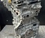 LEXUS M20A-FXS, M20A / M20AFXS, M20A UX (ZA10) 2021 Motor completo