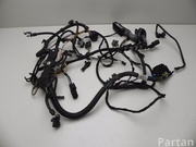 BMW 9286209 3 (F30, F80) 2014 Harness for interior