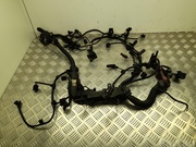 BMW 7809581 7 (F01, F02, F03, F04) 2010 Engine harness