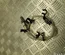 Volvo 32330007 XC60 II (246) 2024 Lambda Sensor - Thumbnail 1