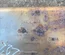 Jaguar DX23-5232-AB, DX235232AB / DX235232AB, DX235232AB XF (X250) 2015 Schalldämpfer - Thumbnail 3
