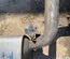 Jaguar DX23-5232-AB, DX235232AB / DX235232AB, DX235232AB XF (X250) 2015 Schalldämpfer - Thumbnail 4