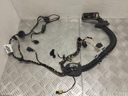 PORSCHE 7P5971161LE CAYENNE (92A) 2016 Harness for interior