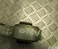 Mini 575278-12 / 57527812 MINI (R56) 2008 Motorlagerung - Thumbnail 2